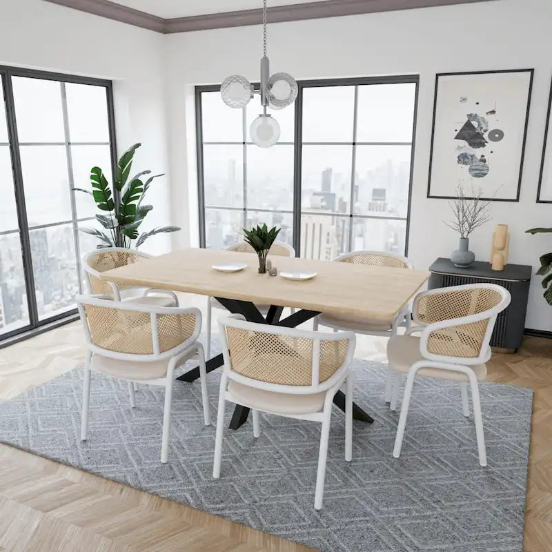 Chaise de salle à manger avec accoudoirs – Assise en velours et dossier en rotin, lot de 2 (Beige / Blanc / Noir / Gris)