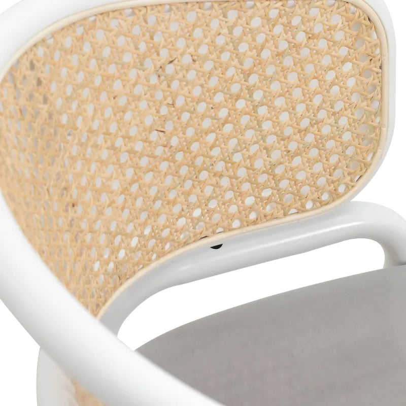 Chaise de salle à manger avec accoudoirs – Assise en velours et dossier en rotin, lot de 2 (Beige / Blanc / Noir / Gris)