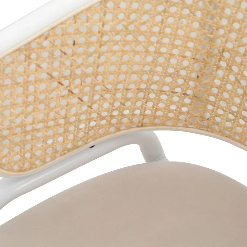 Chaise de salle à manger avec accoudoirs – Assise en velours et dossier en rotin, lot de 2 (Beige / Blanc / Noir / Gris)
