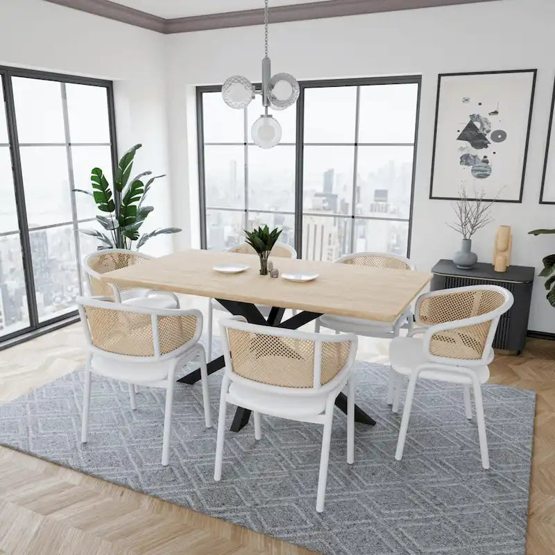 Chaise de salle à manger avec accoudoirs – Assise en velours et dossier en rotin, lot de 2 (Beige / Blanc / Noir / Gris)