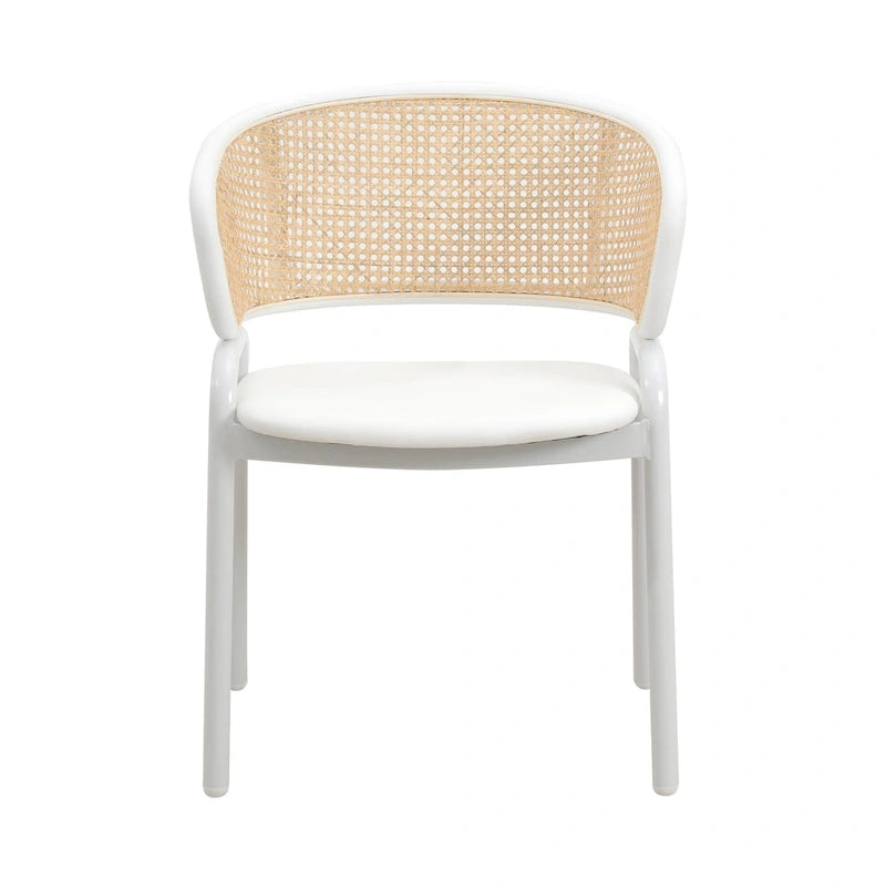 Chaise de salle à manger avec accoudoirs – Assise en velours et dossier en rotin, lot de 2 (Beige / Blanc / Noir / Gris)