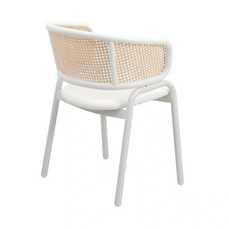 Chaise de salle à manger avec accoudoirs – Assise en velours et dossier en rotin, lot de 2 (Beige / Blanc / Noir / Gris)
